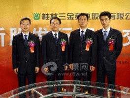 600252股票（桂林三金主营业务？）