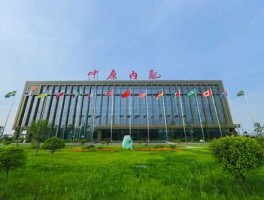 中原内配股票，中原药业是什么公司？