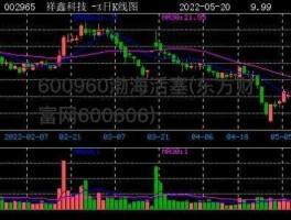 600960（股票600960渤海活塞怎么样？）