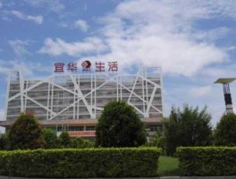 宜华企业（上海市金山区廊下镇有叫宜华服装厂的吗？）