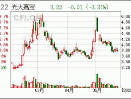 600622嘉宝集团 光大嘉宝属于光大集团吗？