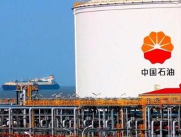 中国石油上市？中国石油天然气集团公司在国内上市了吗？