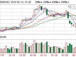 方大集团b股 600516方大碳素的未来走势？