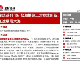 五元体系盐湖提锂(五矿盐湖提锂股票)