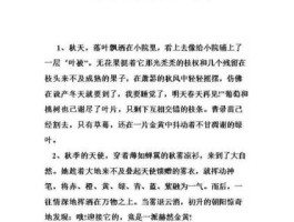 萝卜车（秋天庄稼丰收了扩写句子？）