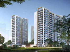 科凯 对绿城汀岸辰风里评价？