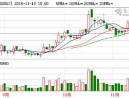 股票002503的原始股价是多少（股票002503的原始股价是多少钱）