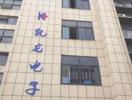 凯龙，广州凯龙电子科技有限公司怎么样？