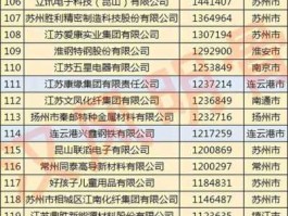 新海股份有限公司（连云港企业排名？）