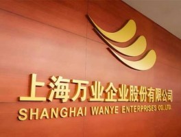 万业企业，上海万业企业宝山新城建设开发有限公司介绍？