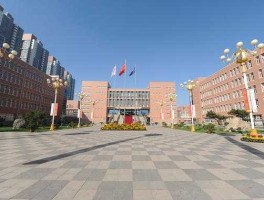 滨海新区人才网？天津塘沽劳动局地址谁告诉我？