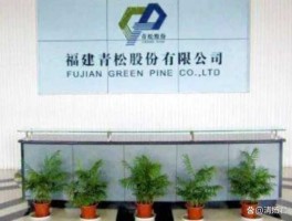 青松股份，青松股份是一家什么公司？