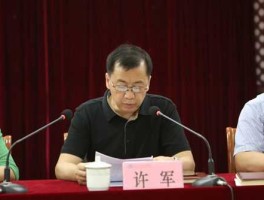许军股市（许军本案）