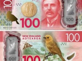 一百新西兰币等于多少人民币(一百元在新西兰等于多少)