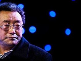 王功权，万通系统创始人？