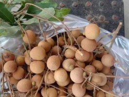 桂圆价格？桂圆的市价是多少钱一斤？龙眼呢？