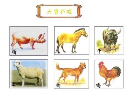 六畜兴网 兴有哪些读音？