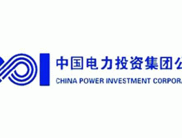电力投资集团（中电投和国电投区别？）