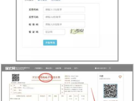 电子票 如何查看领的电子票？