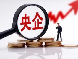 000850股票？安庆有央企或者国企嘛？