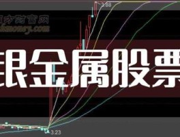 股票600497 xd金钼股份什么意思？