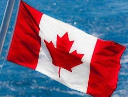 ca 是美元还是加拿大元(canada是什么币)