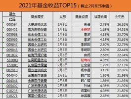 2020年最有潜力的基金（2021年比较有前景的基金）