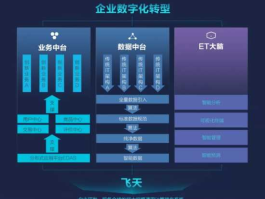 阿里运 阿里飞猪在阿里中地位？