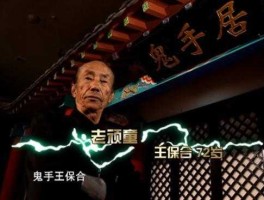 王宝合？王保合是吴桥杂技代表人吗？