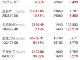 股市石头和包子（股票石头）