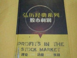 股市利润（股市利润之战pdf）