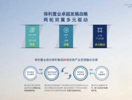 中国置业 保利置业与华南保利的区别？