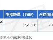 603712（北京华龙通科技有限公司是私企吗？）