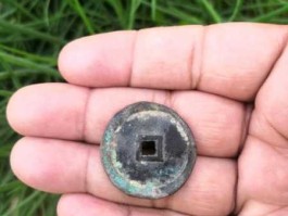 东化通宝股价（东化通宝股票为什么会跌）