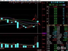 金力永磁股票？最新新能源汽车股票有哪些？