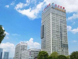 道博股份吧（光谷东有哪些大型企业？）