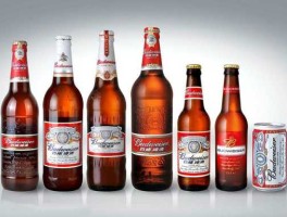 百威英博？百威英博冰纯和百威区别？