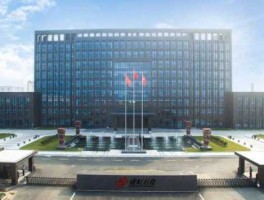 上海龙头股份（纺织行业龙头公司？）