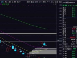 股票000616，st海投做什么的？