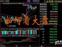 600033股票？涨跌几个点是指百分之几吗？