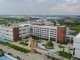 铜陵铜峰电子？明阳电路是半导体吗？