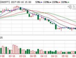 002577股票，雷柏科技是一只怎么样的股票？