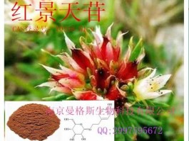 红景天苷，雪莲红景天介绍？