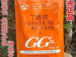 国光申购？国光申购什么时候开盘？