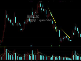 股市t和反t（股票反t）