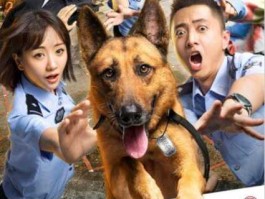 迅雷狗狗 关于狗的电视剧有哪些？