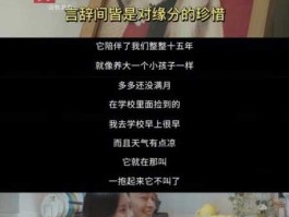 rgsc（如果说初遇时候太过惊艳）