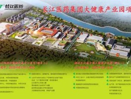 长江医药（长江医药大健康产业园一期监理单位？）