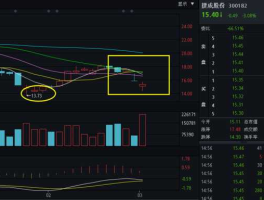 300182股票 信息股有哪些？