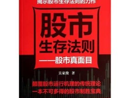 股市本质东西（股票本质到底是什么）